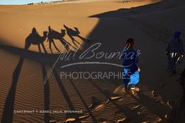 Image du Maroc Professionnelle de  L'ombre d'une caravane avec son guide et ses touristes au lever du soleil sur les dunes de sable du Sahara à Merzouga dans la région de Drâa-Tafilalet au Sud Est du Maroc, le long de ce que l'on appelle la route des mille kasbahs, Dimanche 5 mars 2017. De nombreux touristes visitent les dunes de Merzouga à l’aube pour contempler la beauté du lever du soleil sur les dunes de sable du Sahara. (Photo / Abdeljalil Bounhar 